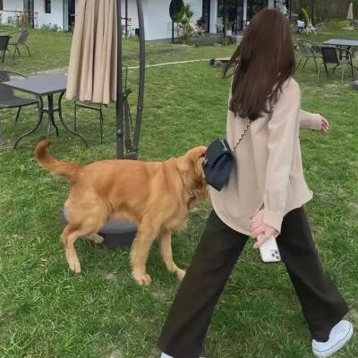 一个人 在线观看